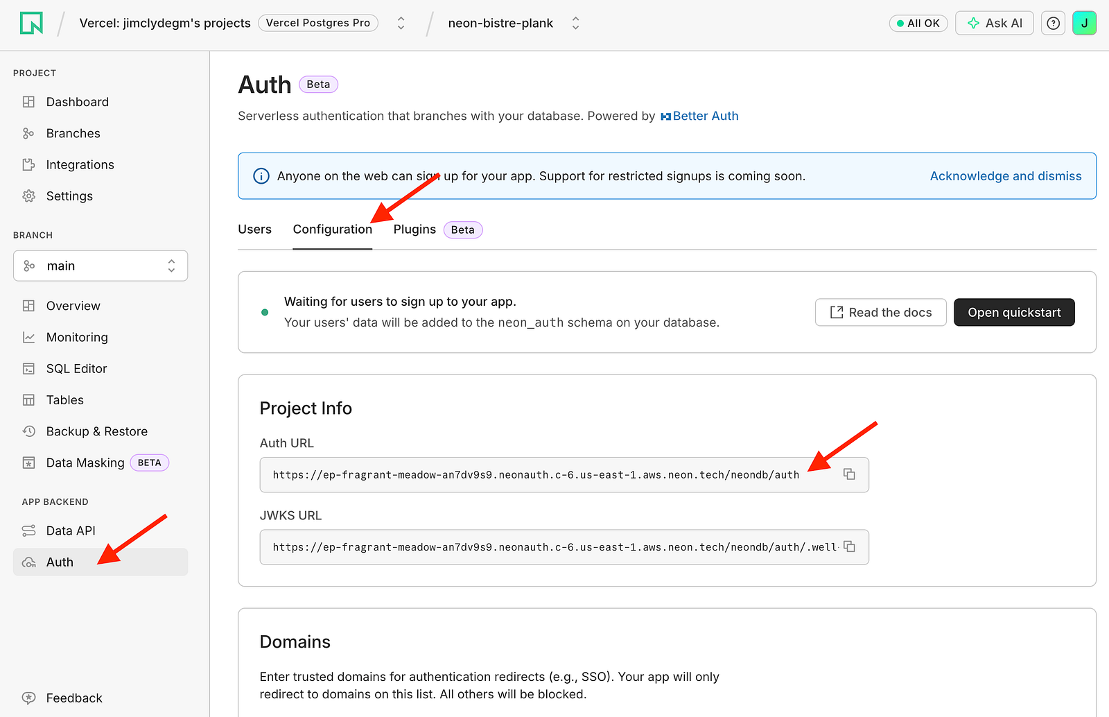 Neon Auth URL configuration